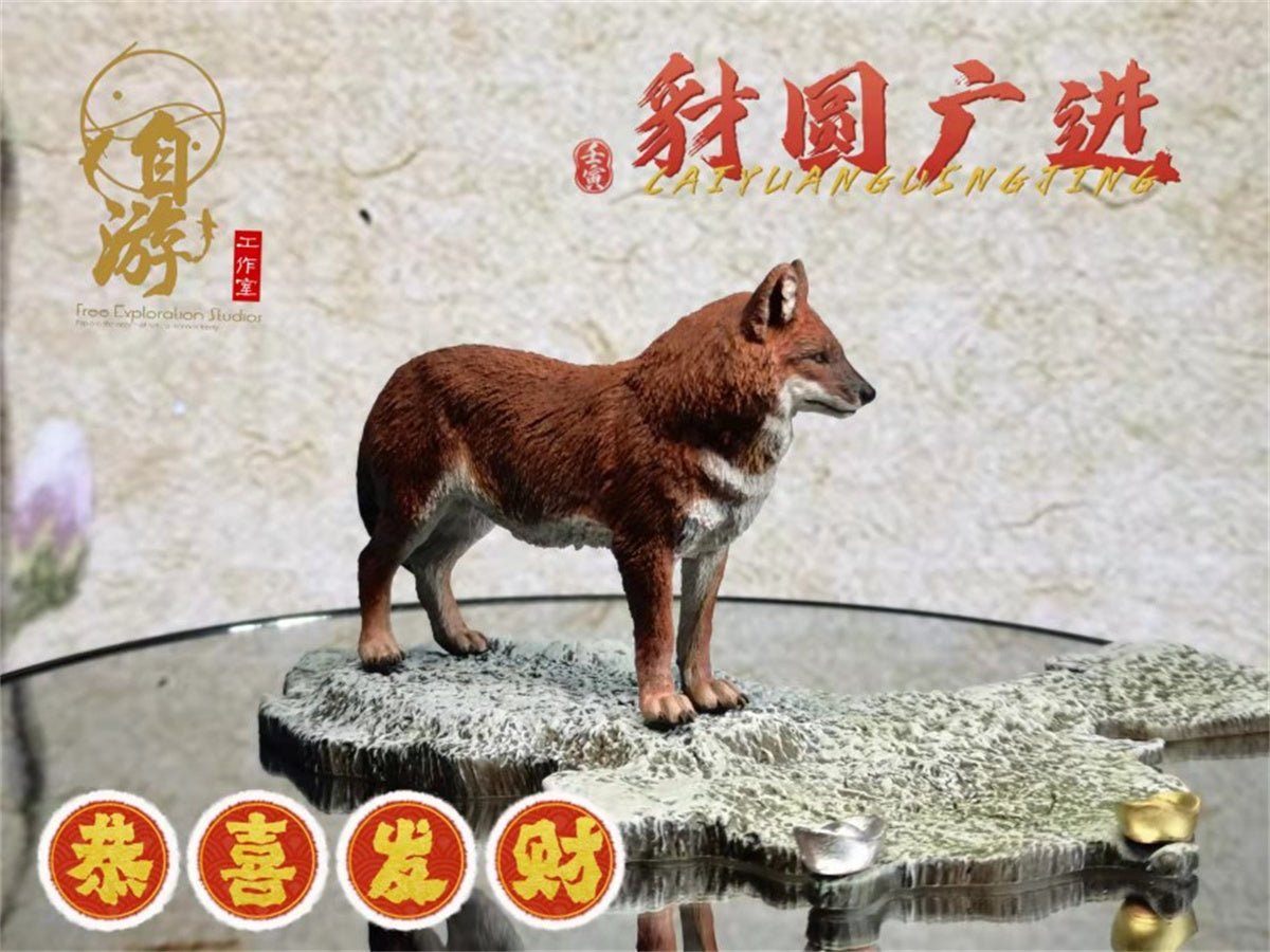 Chinese Dhole and Indian Dhole Model