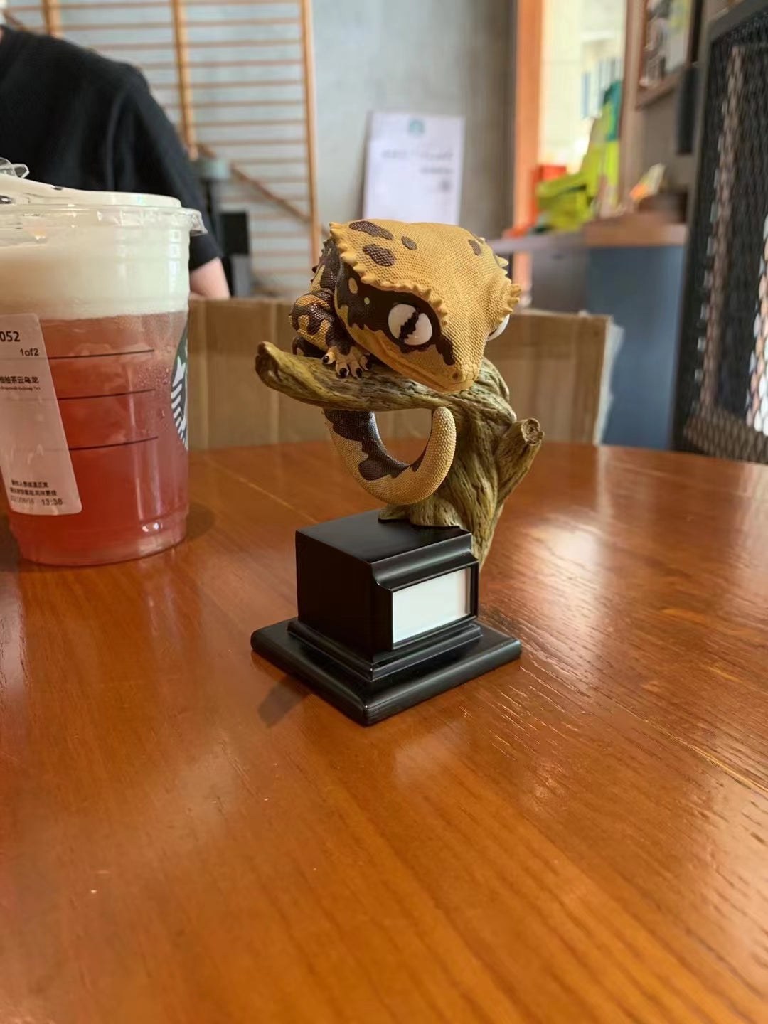 Pet Gekko Blind Box Model