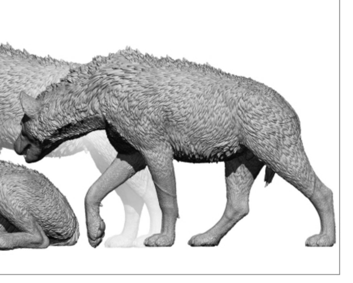 Dafei Spotted Hyaena Model