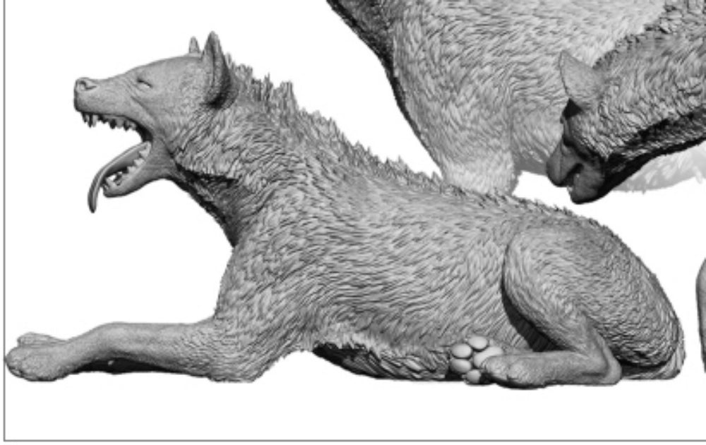 Dafei Spotted Hyaena Model