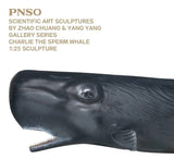 PNSO 1/25 Sperm Whale Charlie Model