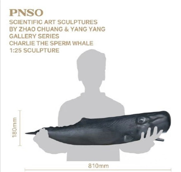 PNSO 1/25 Sperm Whale Charlie Model