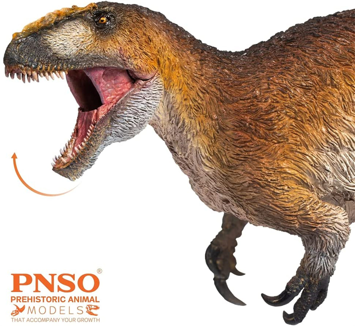 PNSO Yutyrannus Yinqi Model