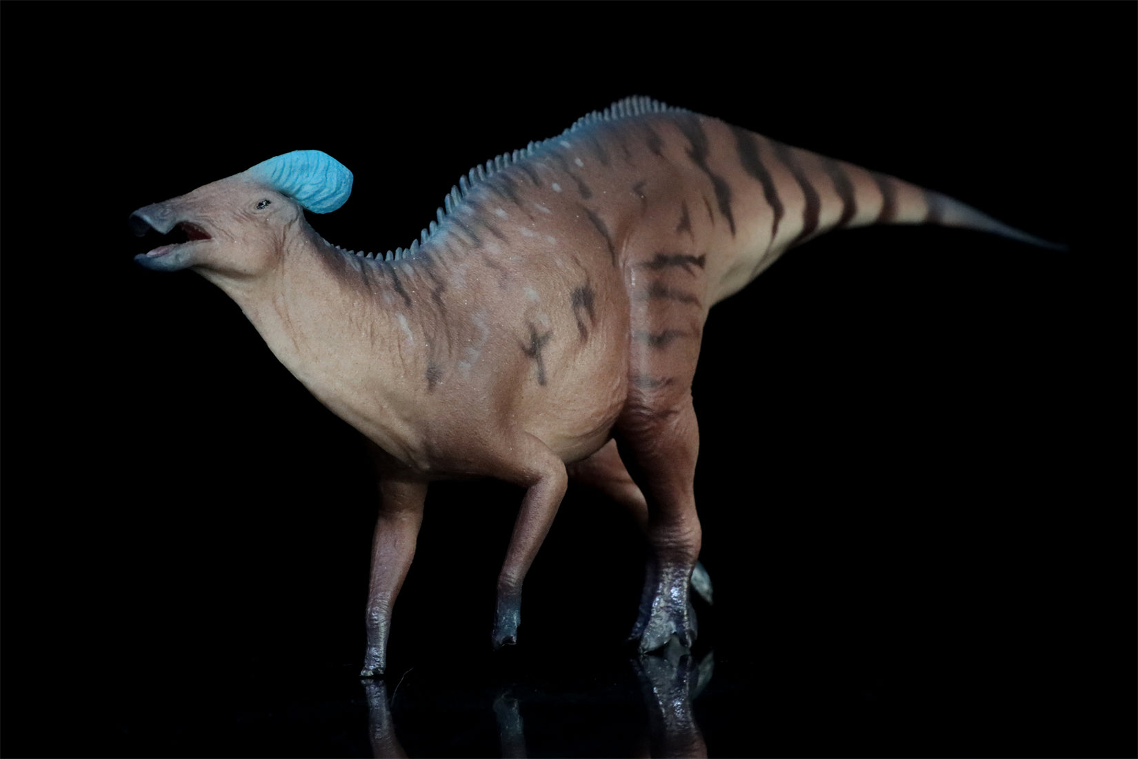 HAOLONGGOOD 1:35 Scale Tlatolophus galorum Model