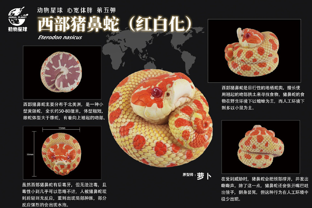 Animal Planet A Series of Laugh and Grow Fat 05 Snake