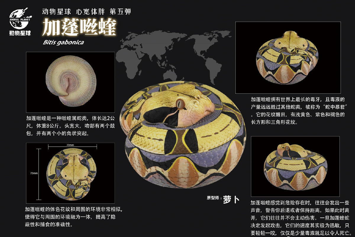 Animal Planet A Series of Laugh and Grow Fat 05 Snake