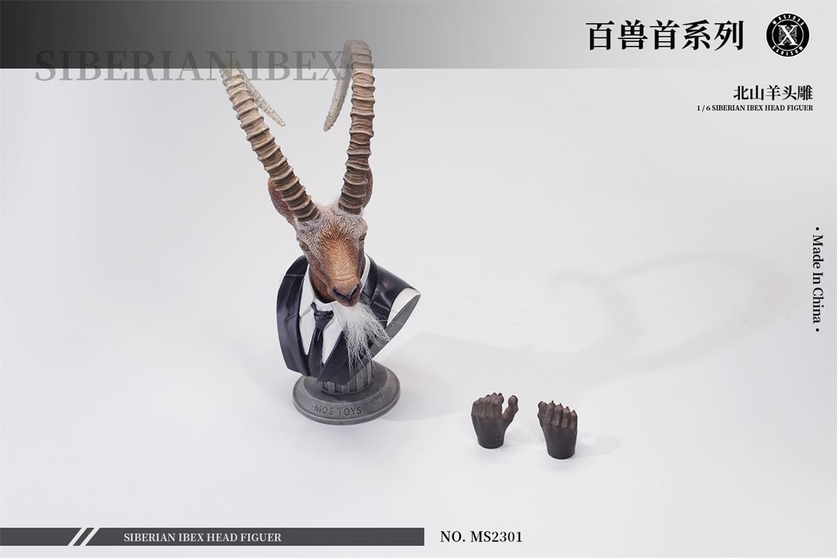 Mostoys 1/6 Siberian Ibex Head Figure