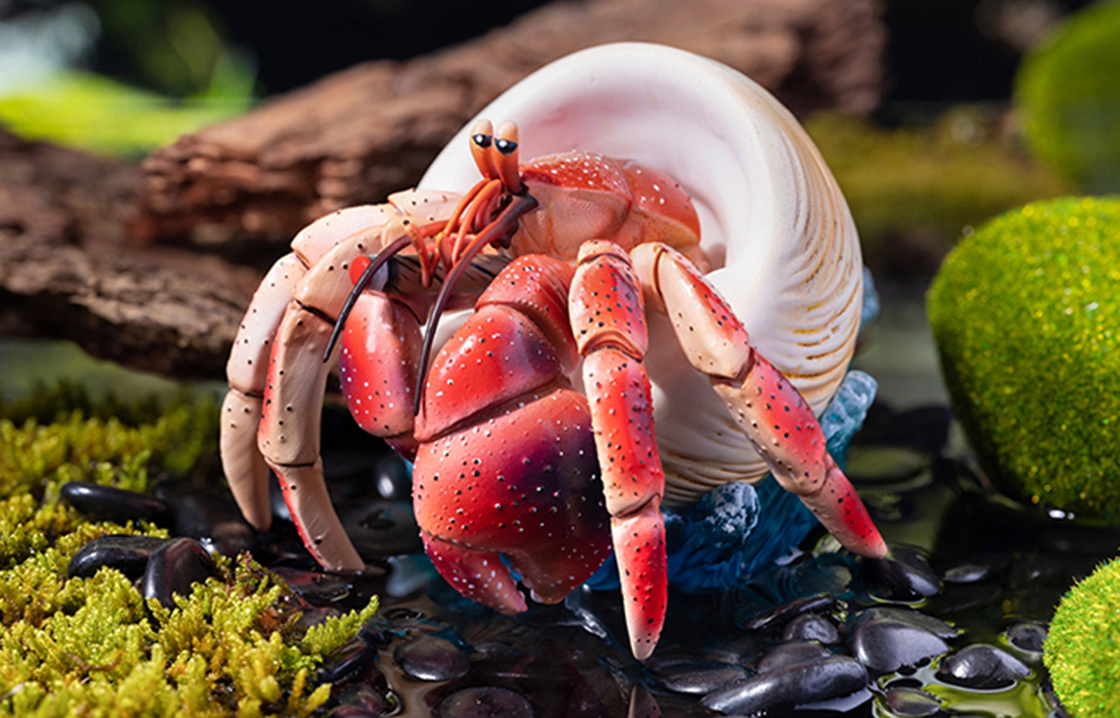 KONGZOO Summer Hermit Crab Model