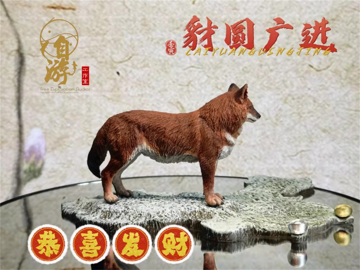 Chinese Dhole and Indian Dhole Model