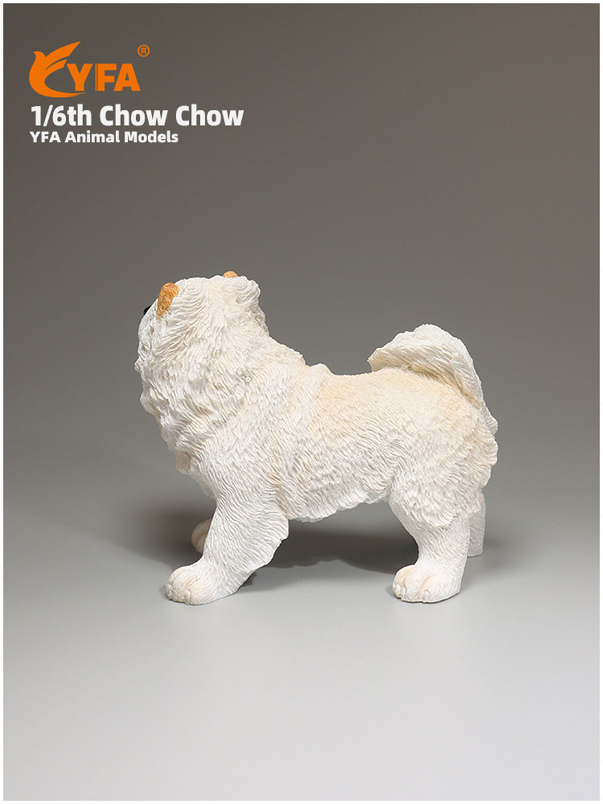 JJM 1/6 Chow Chow Dog Model