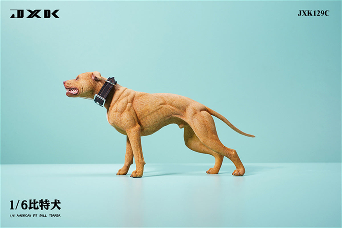JXK 1/6 American Pit Bull Terrier Model