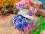 KONGZOO Summer Hermit Crab Model