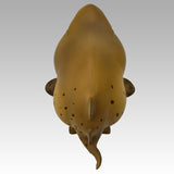 Animal Planet 14 Marine Animal 2.0 Blind Box Model
