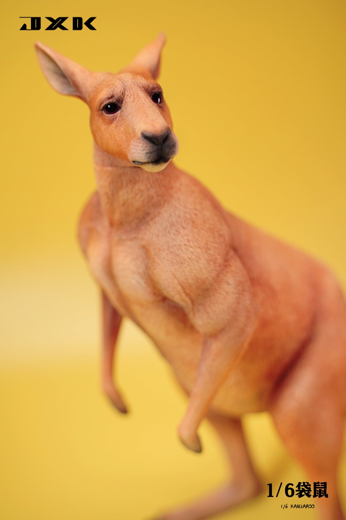 JXK 1/6 Kangaroo Model