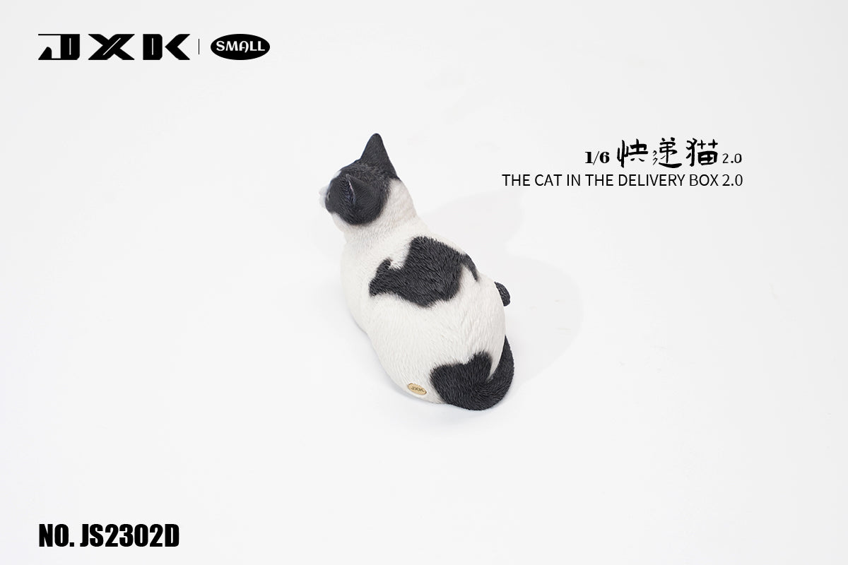 JXK Small The Cat In The Delivery Box 2.0 Model