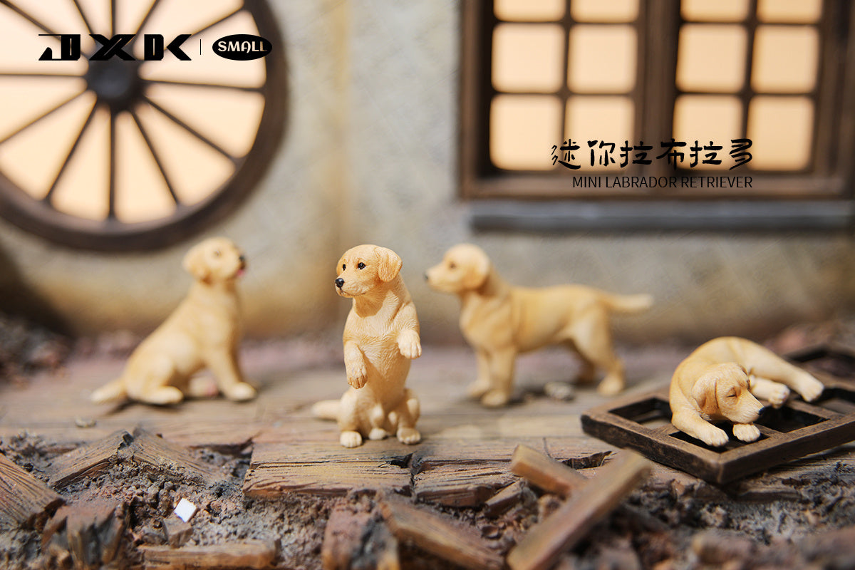 JXK 1/6 Small Mini Dog Model
