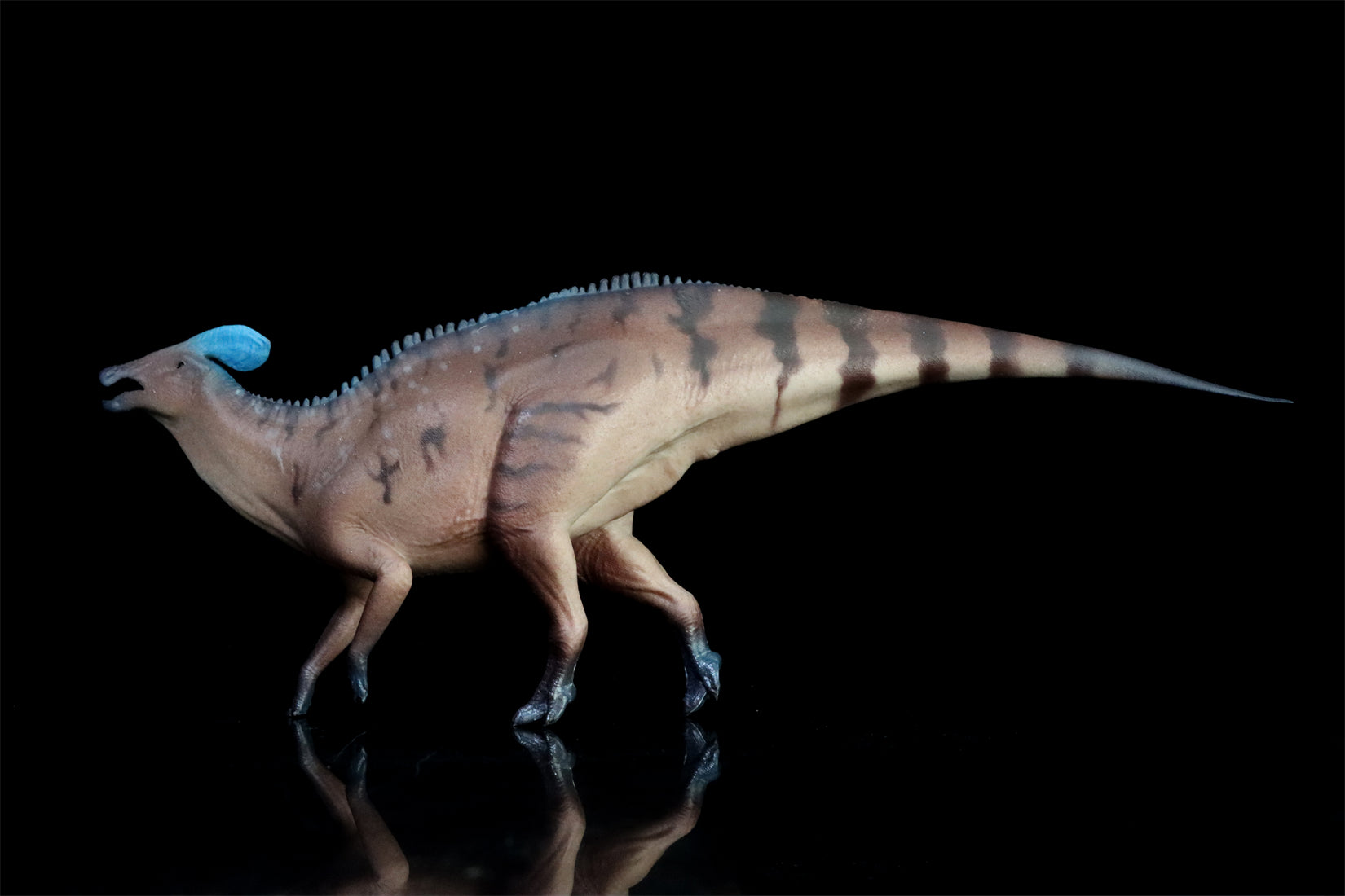 HAOLONGGOOD 1:35 Scale Tlatolophus galorum Model