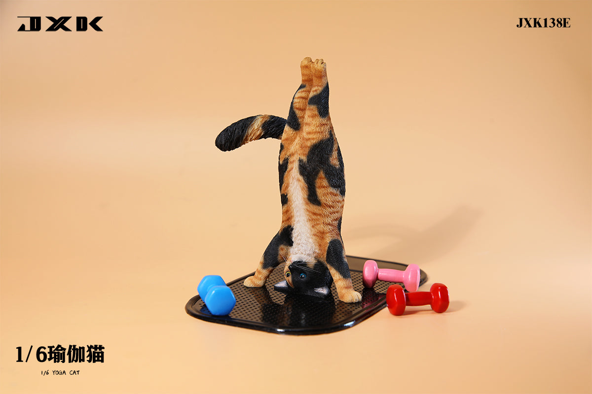 JXK 1/6 Yoga Cat Model