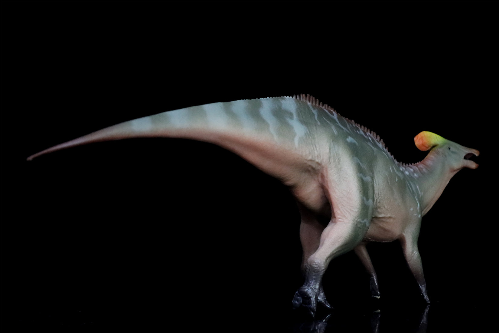 HAOLONGGOOD 1:35 Scale Tlatolophus galorum Model