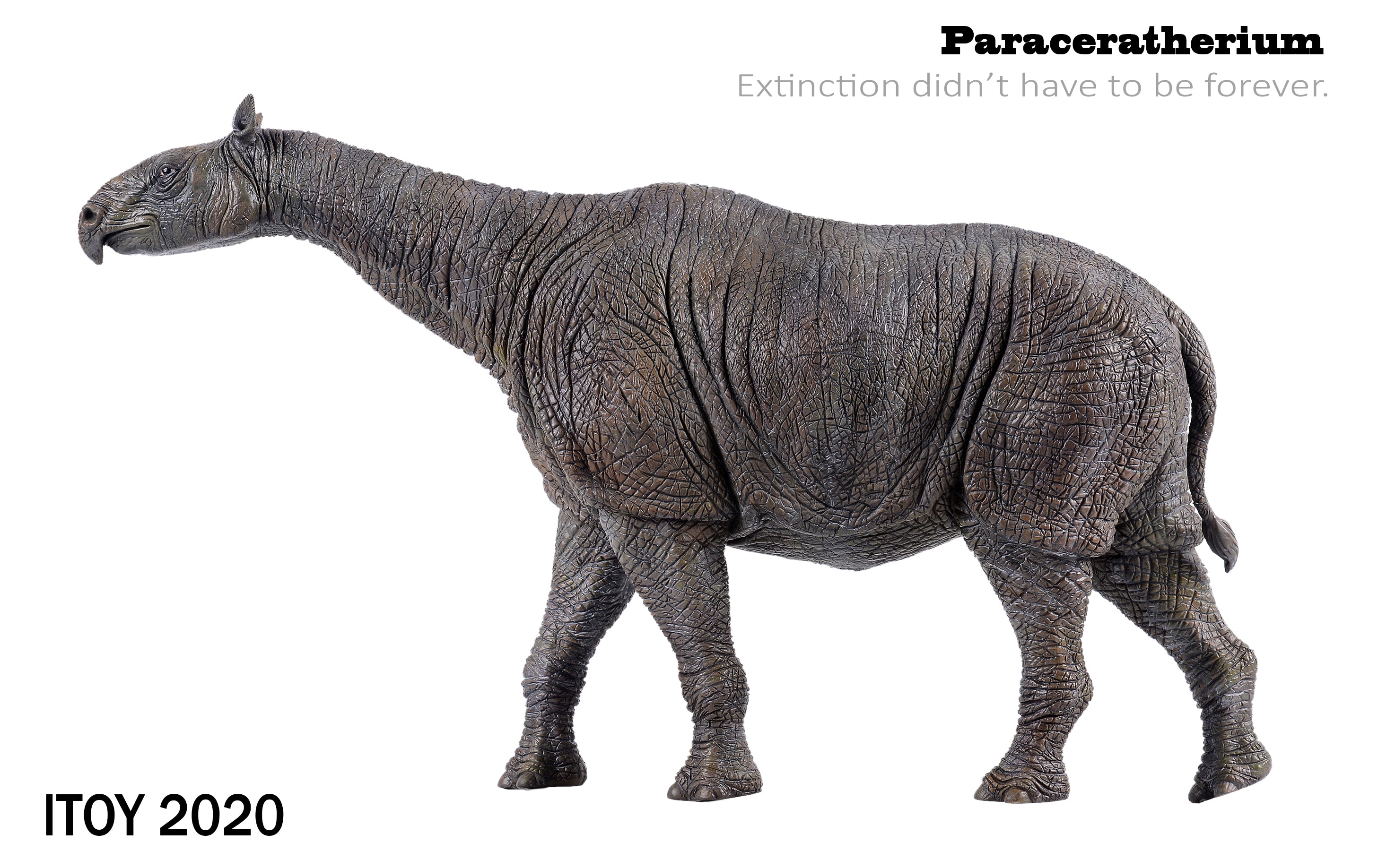 ITOY 1/35 Paraceratherium Statue