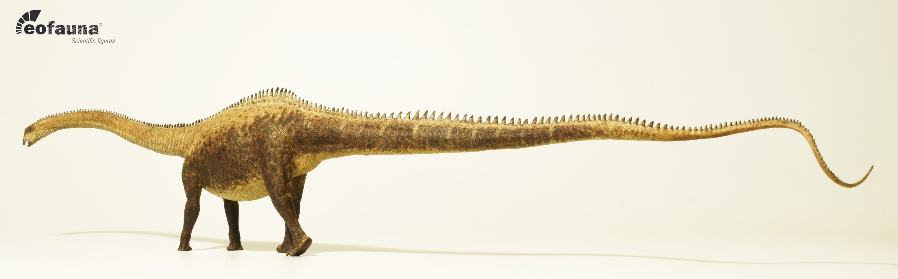 Eofauna 1:40 Scale Diplodocus Figure