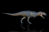 PNSO 17 Lucas Giganotosaurus 1:35 Scale Scietific Art Model