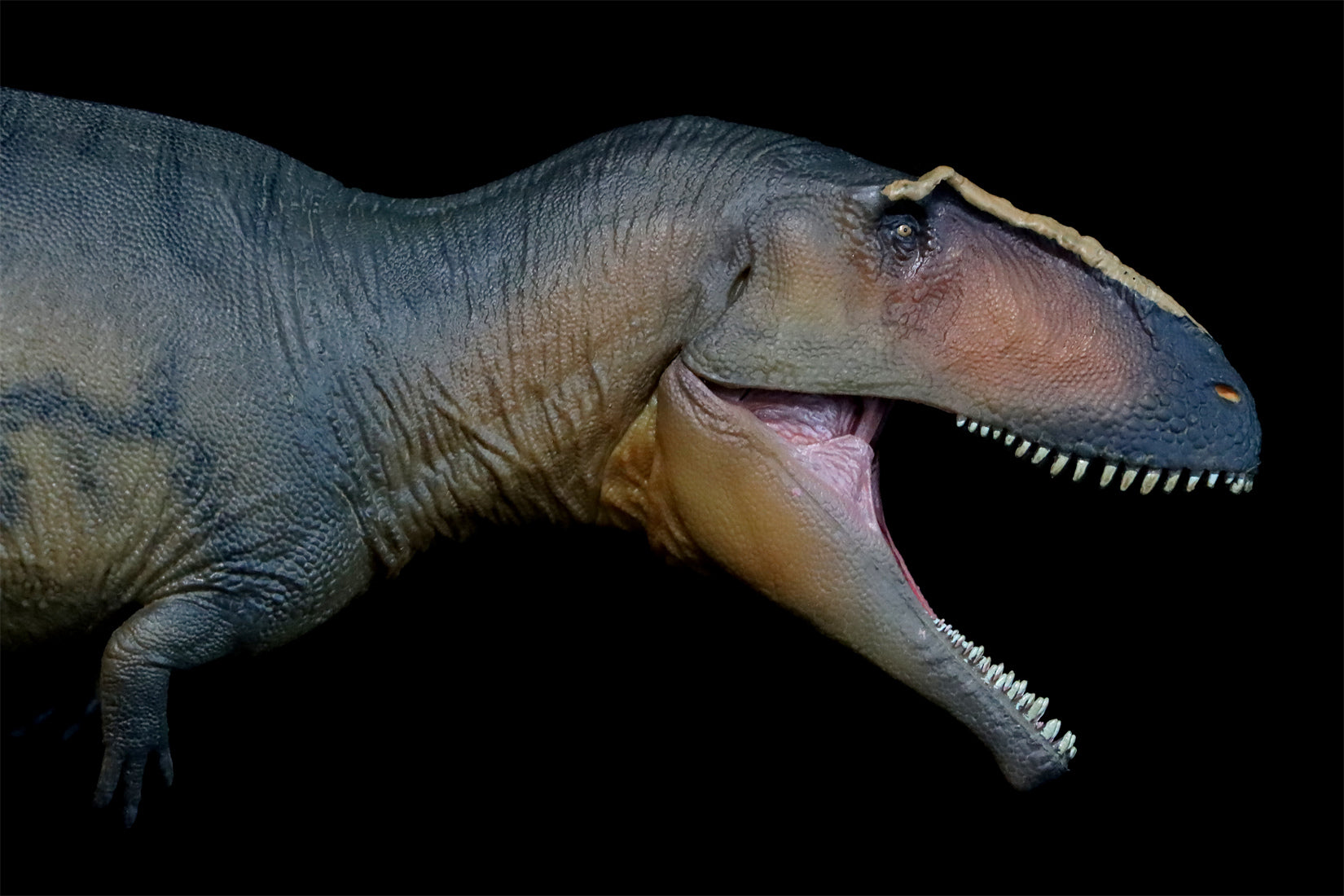 PNSO 17 Lucas Giganotosaurus 1:35 Scale Scietific Art Model