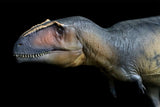 PNSO 17 Lucas Giganotosaurus 1:35 Scale Scietific Art Model