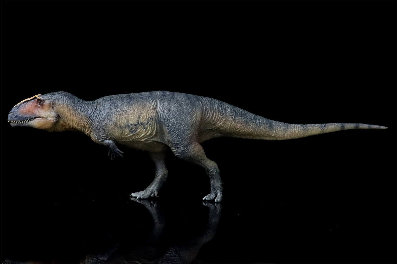 PNSO 17 Lucas Giganotosaurus 1:35 Scale Scietific Art Model