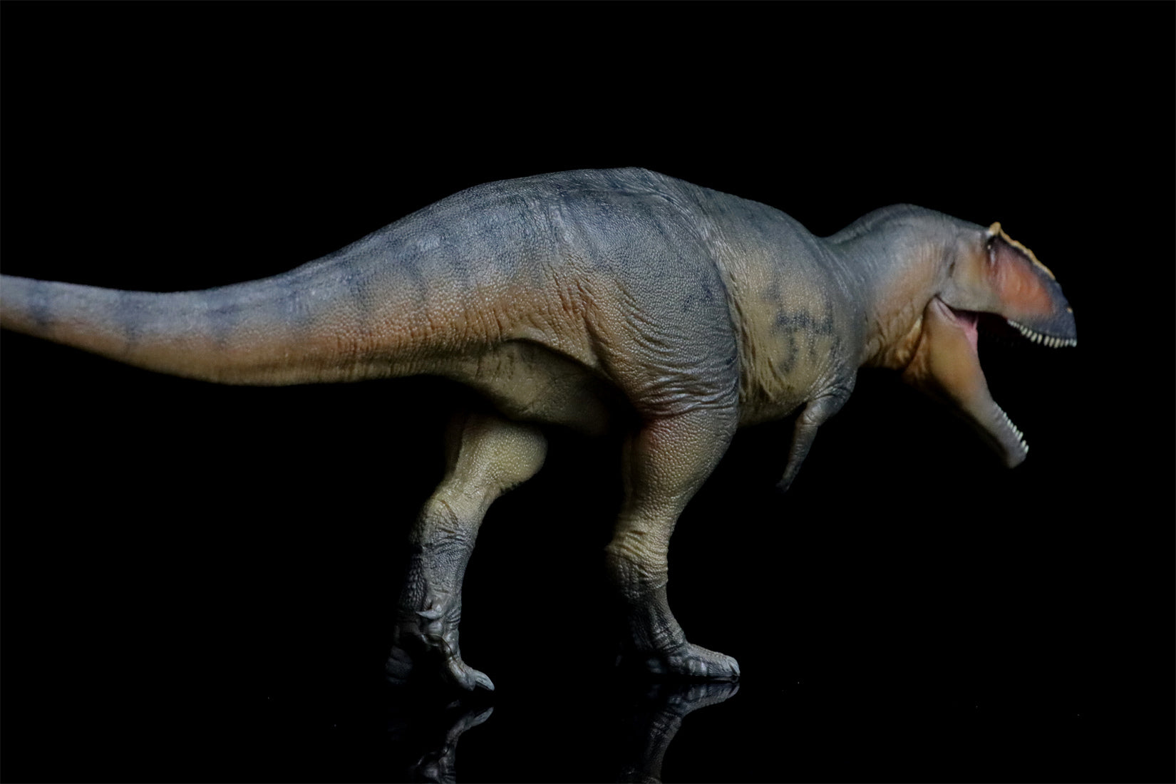 PNSO 17 Lucas Giganotosaurus 1:35 Scale Scietific Art Model