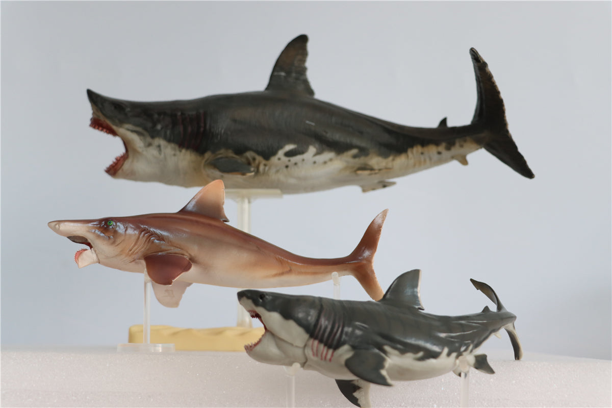 PNSO Megalodon VS Helicoprion Model