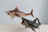 PNSO Megalodon VS Helicoprion Model