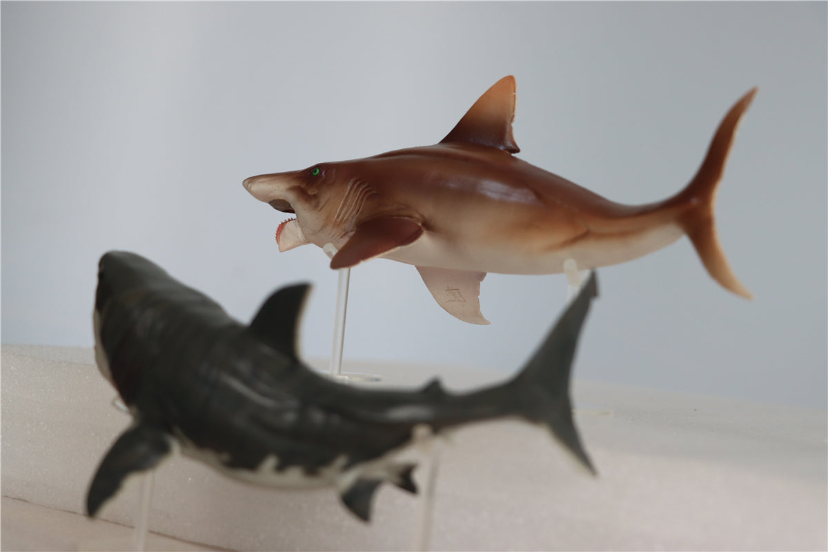 PNSO Megalodon VS Helicoprion Model
