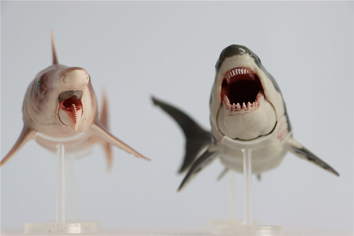 PNSO Megalodon VS Helicoprion Model