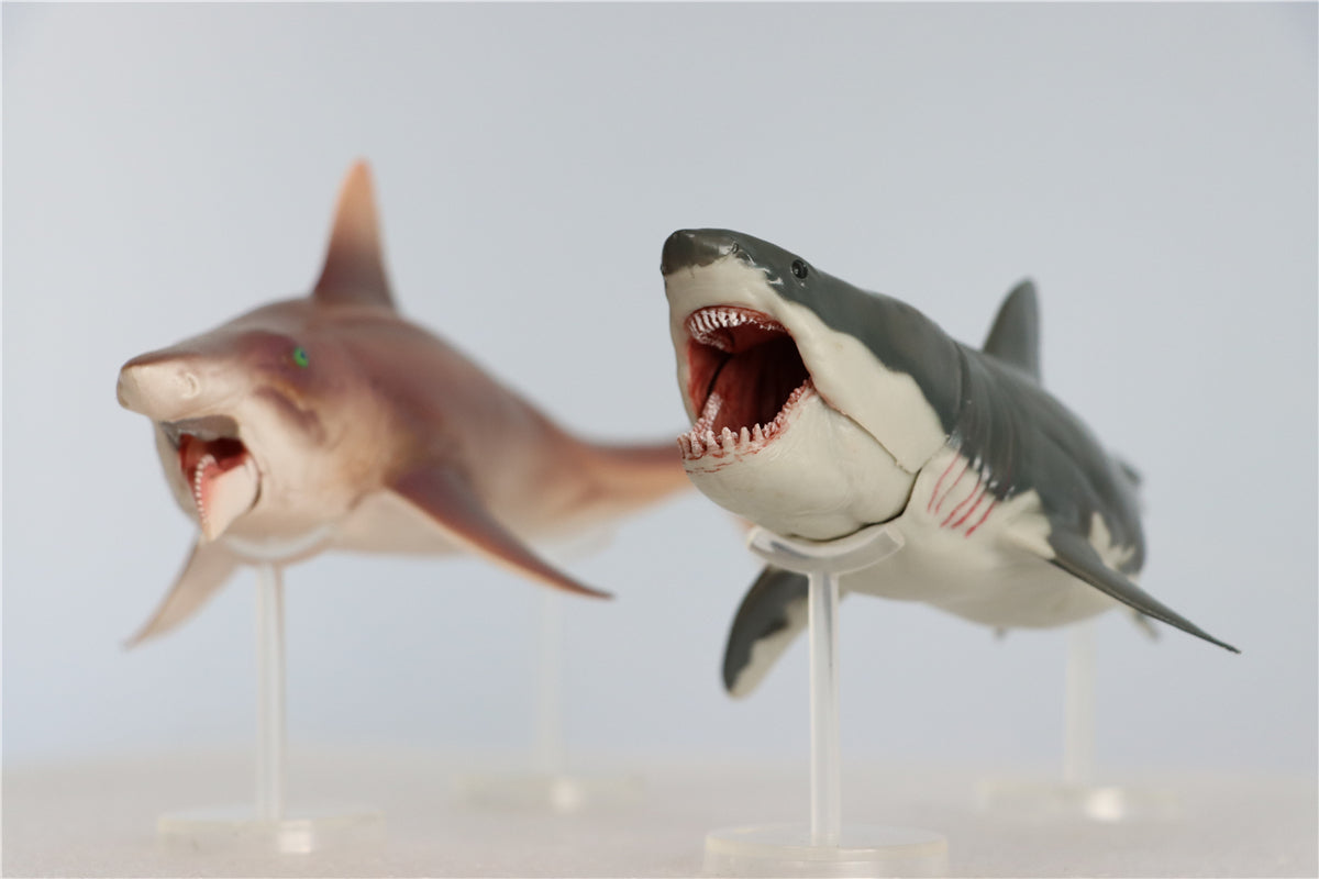 PNSO Megalodon VS Helicoprion Model