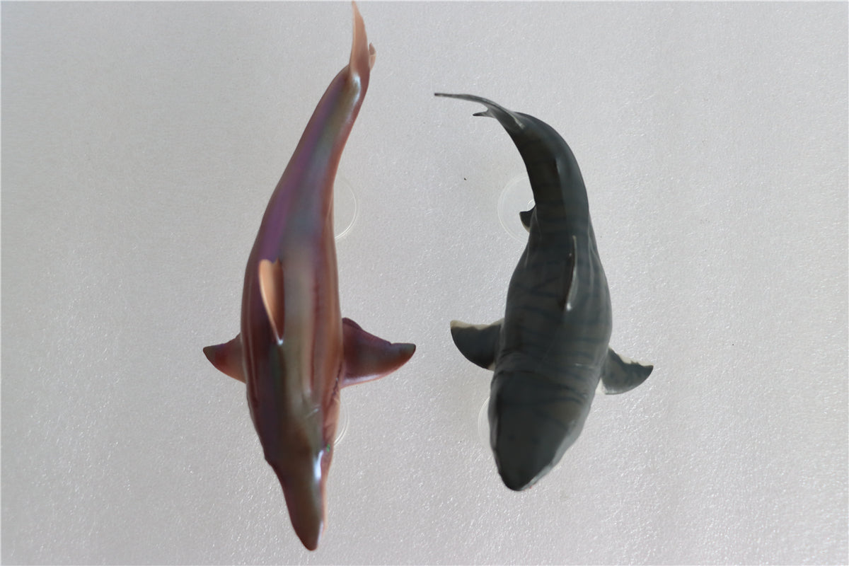 PNSO Megalodon VS Helicoprion Model