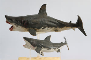 PNSO Megalodon VS Helicoprion Model