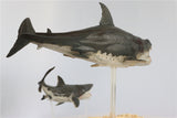 PNSO Megalodon VS Helicoprion Model