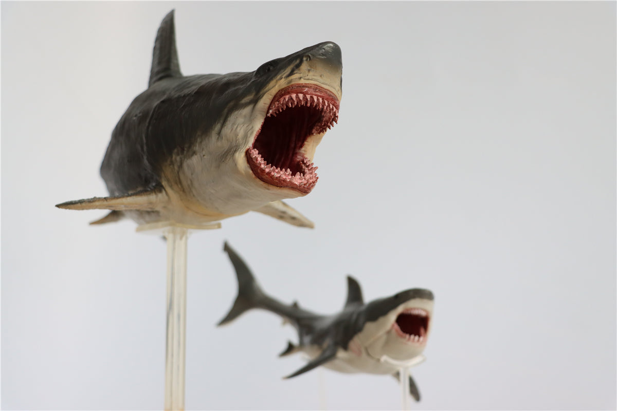 PNSO Megalodon VS Helicoprion Model
