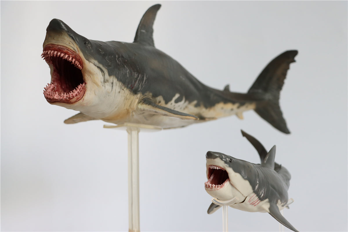 PNSO Megalodon VS Helicoprion Model