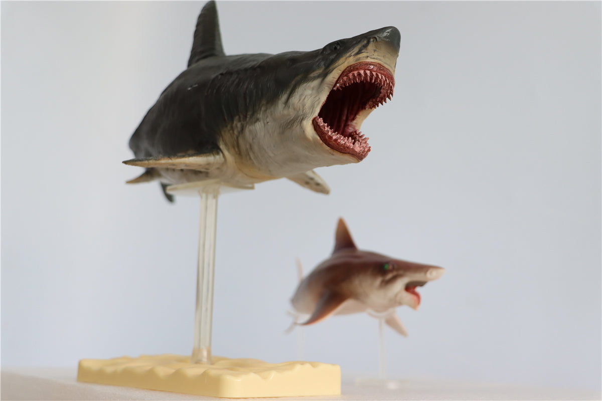 PNSO Megalodon VS Helicoprion Model