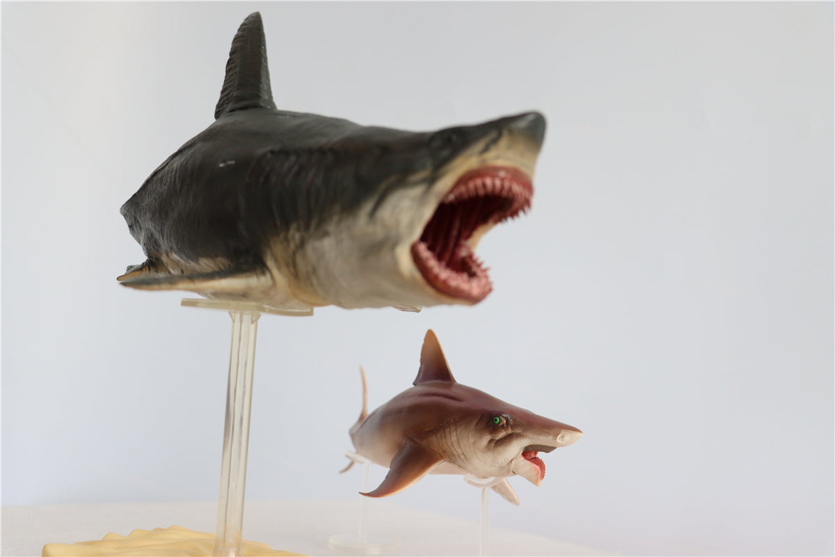 PNSO Megalodon VS Helicoprion Model