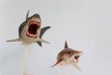 PNSO Megalodon VS Helicoprion Model