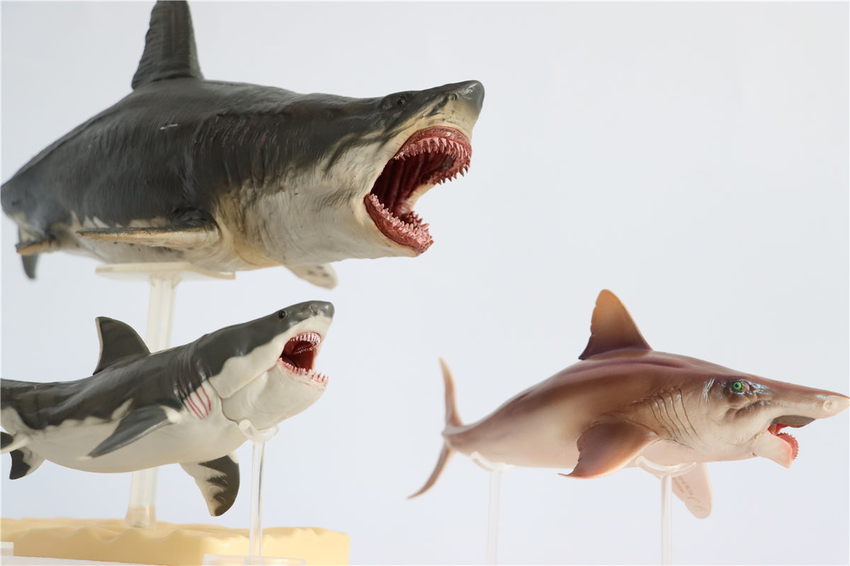 PNSO Megalodon VS Helicoprion Model
