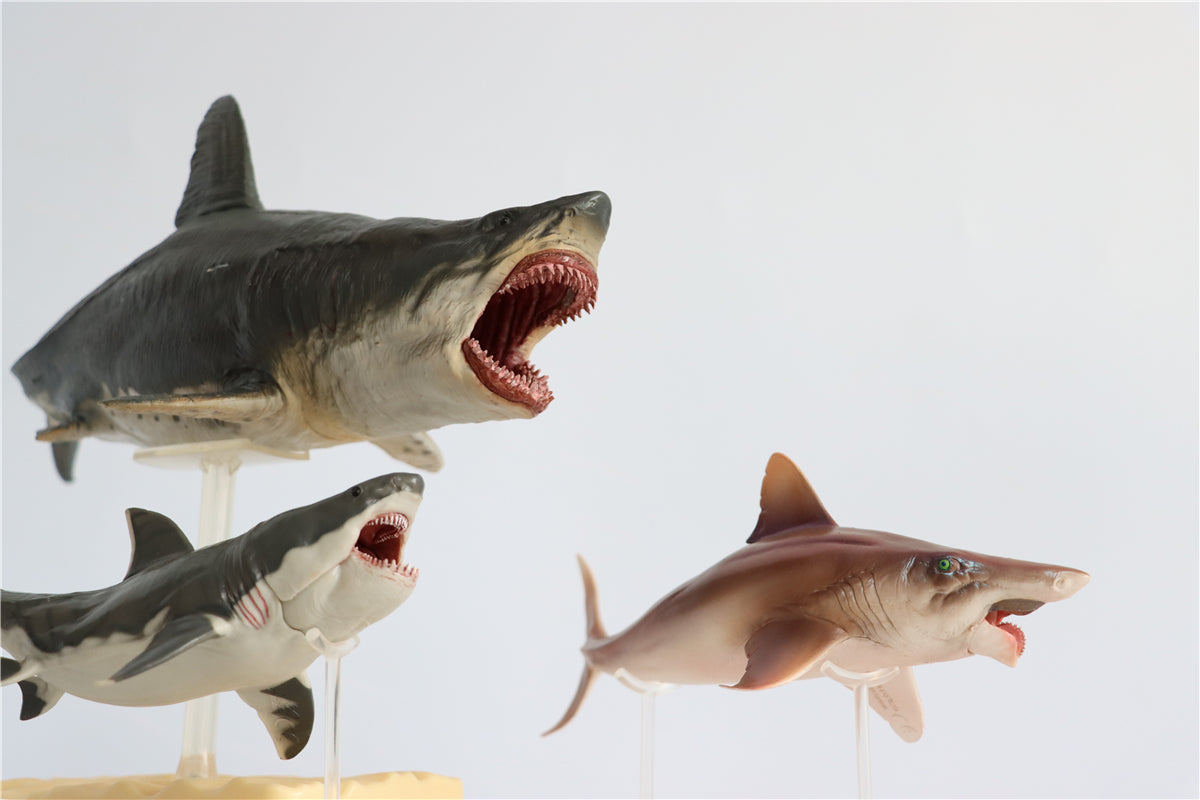 PNSO Megalodon VS Helicoprion Model