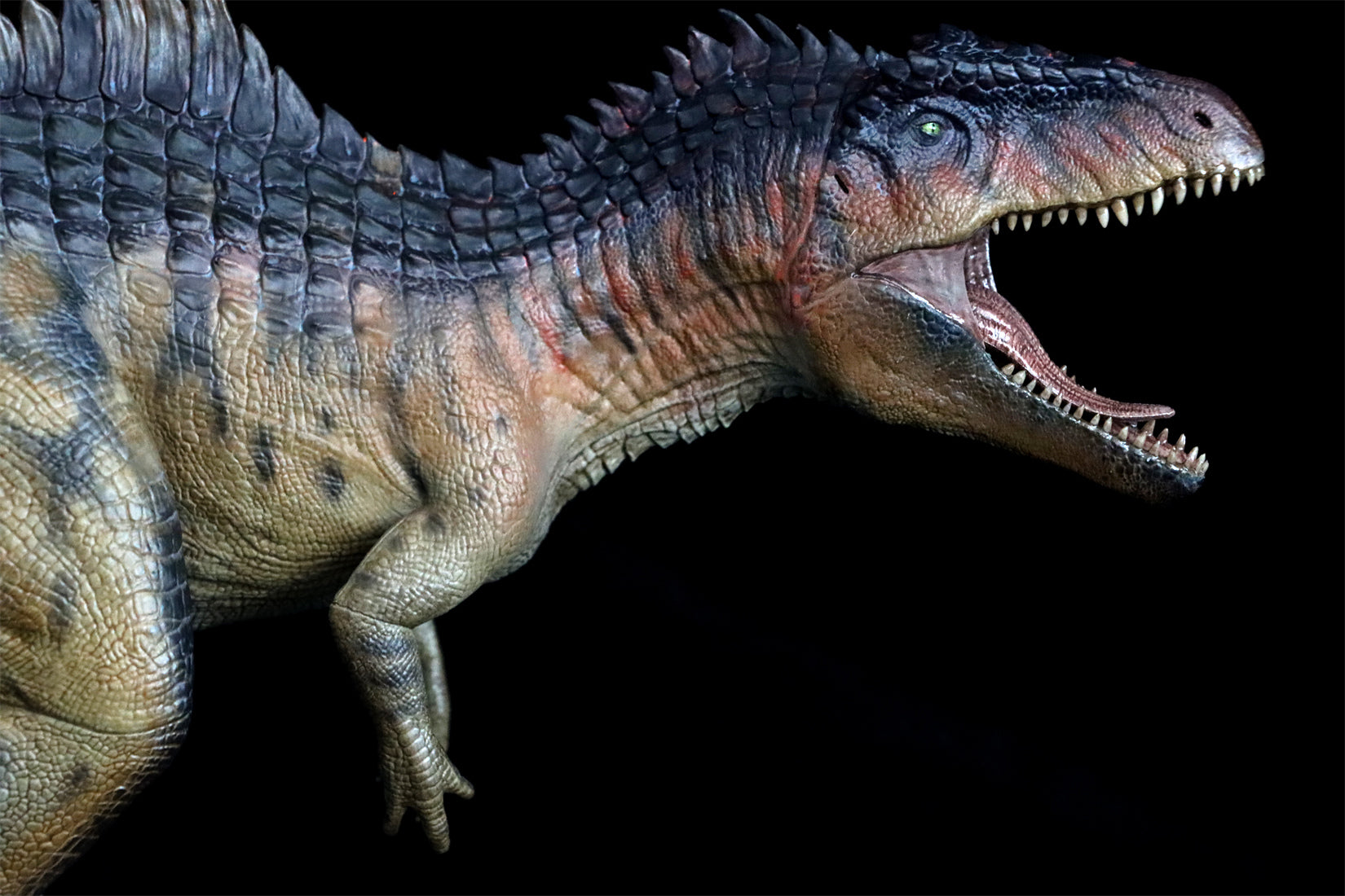 Nanmu Giganotosaurus 2.0 The King of the Border Figure