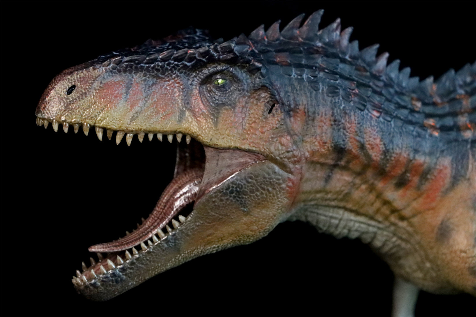 Nanmu Giganotosaurus 2.0 The King of the Border Figure