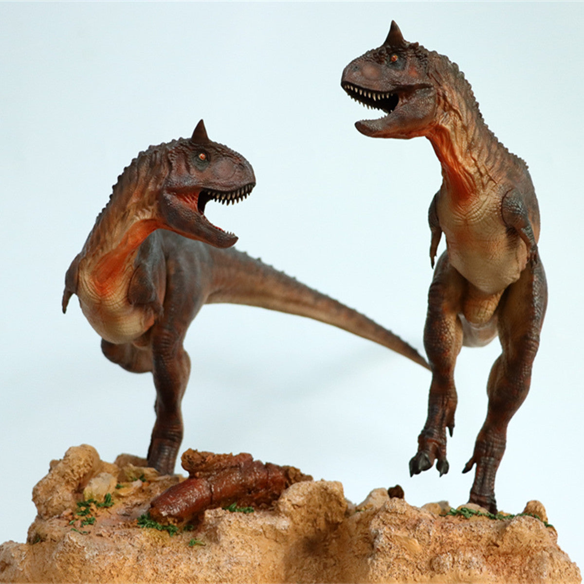 ITOY 1/15 Pair Carnotaurus Statue