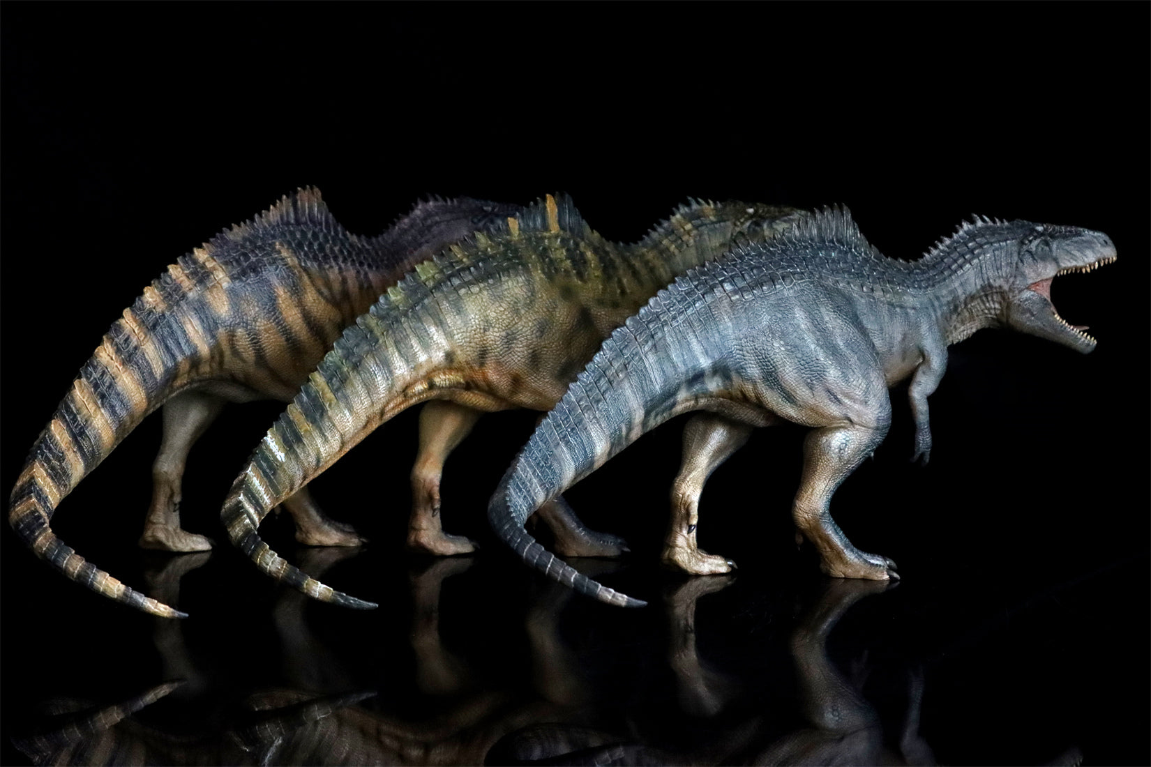 Nanmu Studio Jurassic Series Giganotosaurus King of the