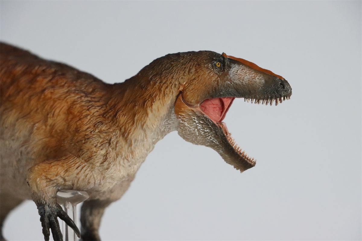 PNSO Yutyrannus Yinqi Model